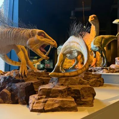 Dinosaurs return to the Free State: South Africa’s R120 million dinosaur centre