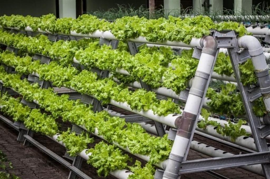 3 innovations set to transform South Africa’s food system by 2040