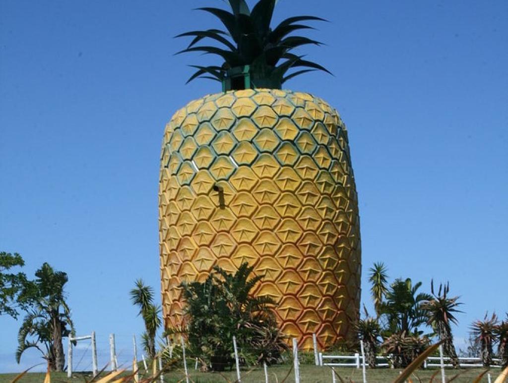 A look at some of South Africa’s fascinating attractions