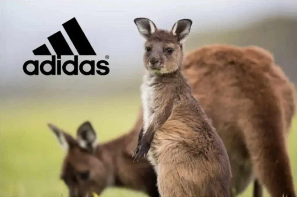 Adidas will no longer use kangaroo leather in its shoes