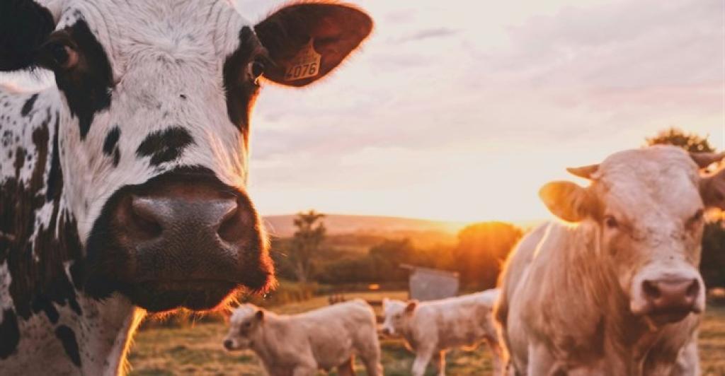 Agri Tech Conference: AI and technology take center stage