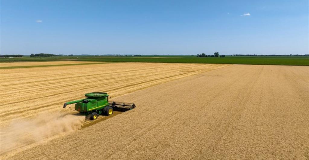 Blockchain and smart contracts to transform agriculture