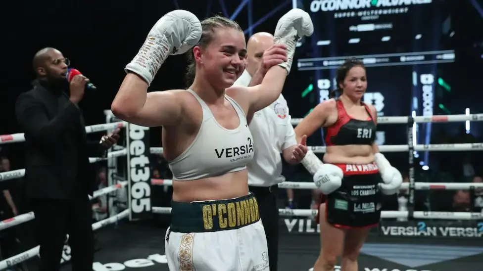 boxer-1.webp