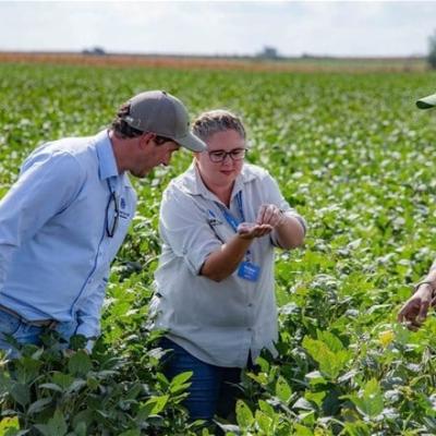 Precision breeding powers climate resilience in SA