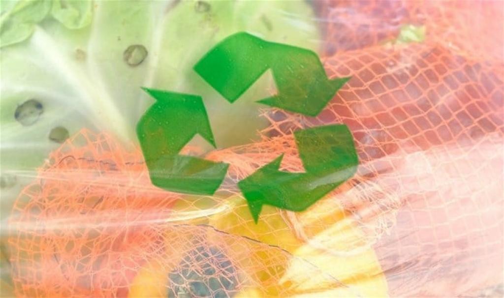 Eco labels in SA don’t do the job: how to help customers make informed choices