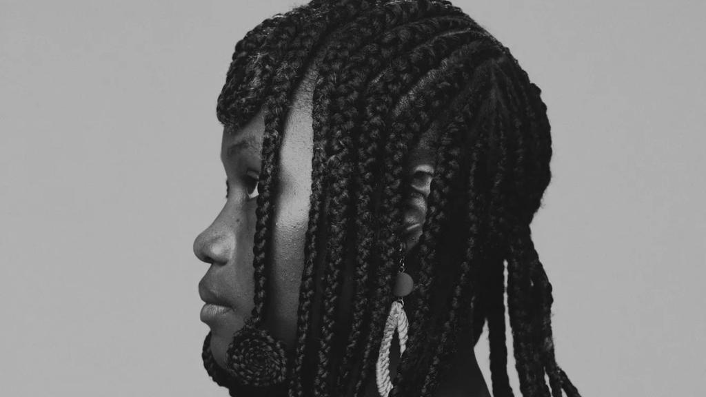 Embrace braids to protect your natural hair this winter, here's how. . .