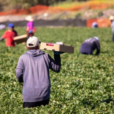 Good news for South African farmers before Trump’s tariffs bite