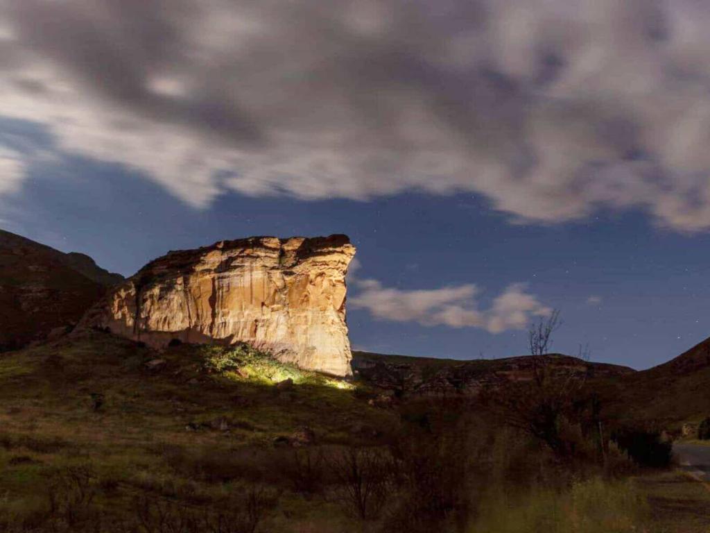 Entry fees introduced at Golden Gate’s dinosaur centre after free entry period
