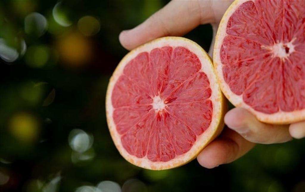 SA growers launch SummerStar Ruby grapefruit drive in Europe