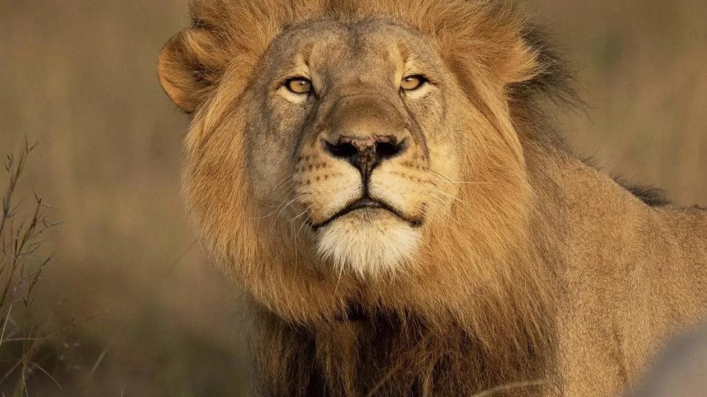 Sip, safari & stargaze on the perfect winter getaway along South Africa’s coast