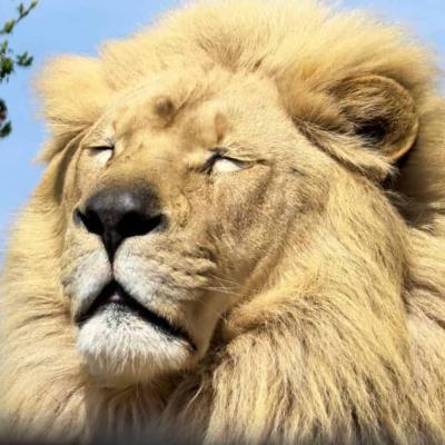 Lory Park Zoo educates visitors on animal conservation