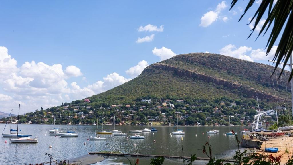 The only province that continues to have more people unemployed than working in South Africa