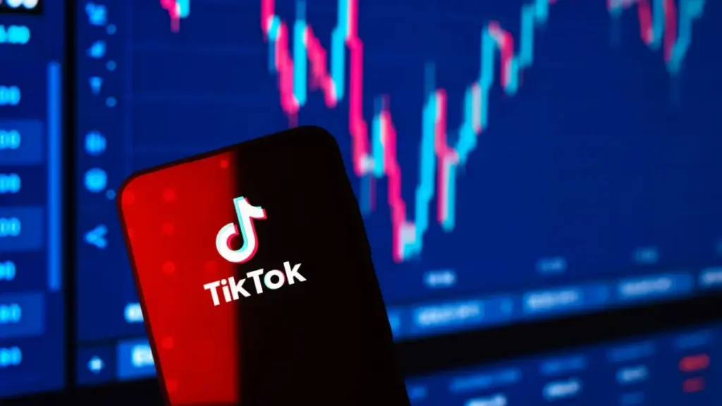 TikTok warning for South Africans