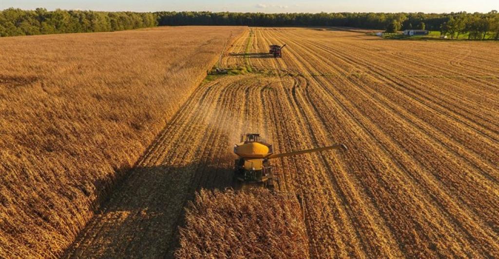 Record rebound in agriculture machinery sales as South Africa's rains boost crop yields