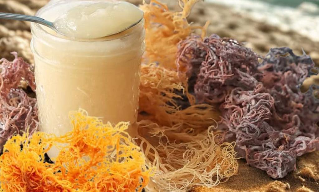 5 reasons why sea moss gel is the new superfood