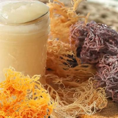 5 reasons why sea moss gel is the new superfood
