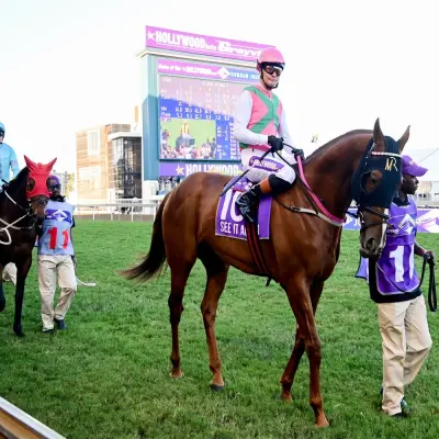 What Durban July gallop poll revealed