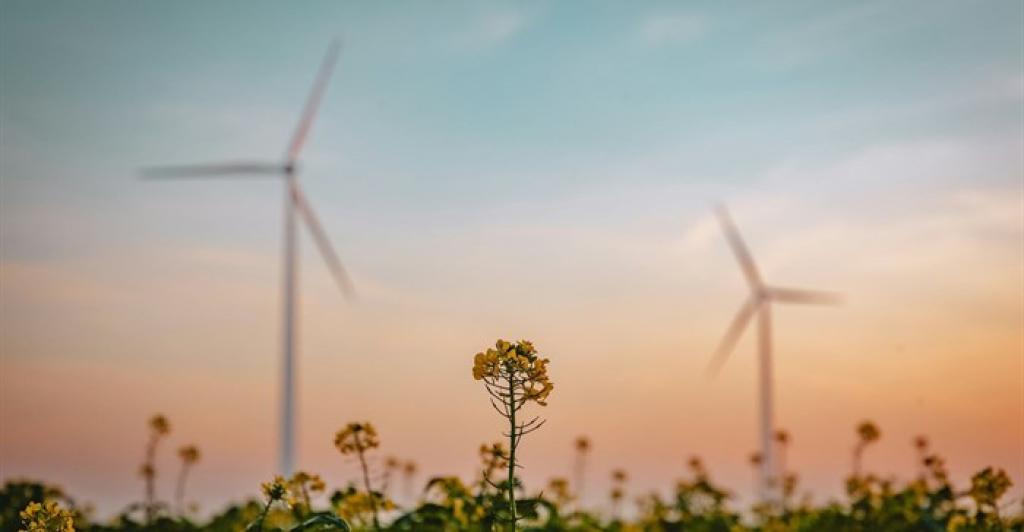 Sustainable resource extraction is a non-negotiable