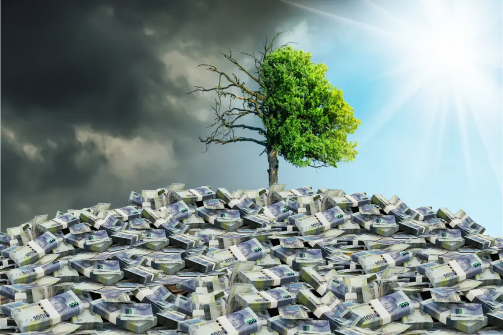 New report reveals who is really making money through South Africa’s R1.76 trillion clean energy drive