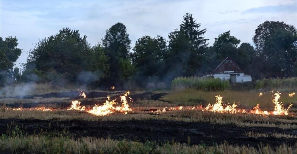 Rising veldfires set to hit crops, livestock and food prices