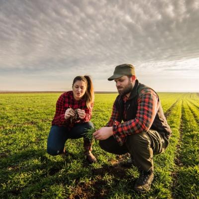 Young South Africans are choosing a lucrative new career to work overseas