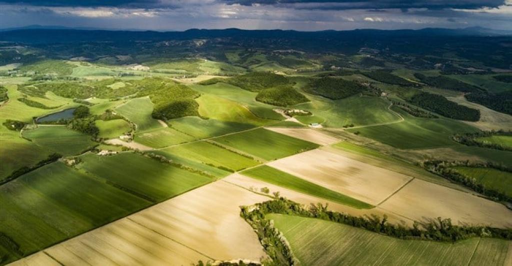 Young South Africans harness restituted land for jobs and economic growth